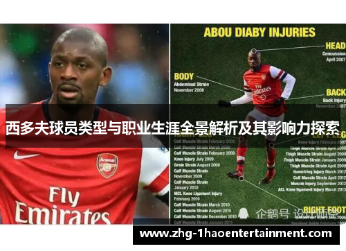 西多夫球员类型与职业生涯全景解析及其影响力探索