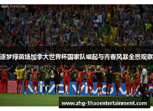 逐梦绿茵场加拿大世界杯国家队崛起与青春风暴全景观察 逐梦绿茵场加拿大世界杯国家队崛起与青春风暴全景观察